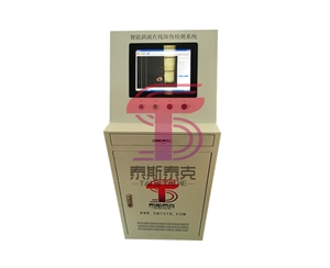 TS-20C高頻焊管在線(xiàn)渦流探傷系統(tǒng)（經(jīng)濟(jì)型）